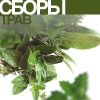 Зеленая Лавка Интернет Магазин Алтай